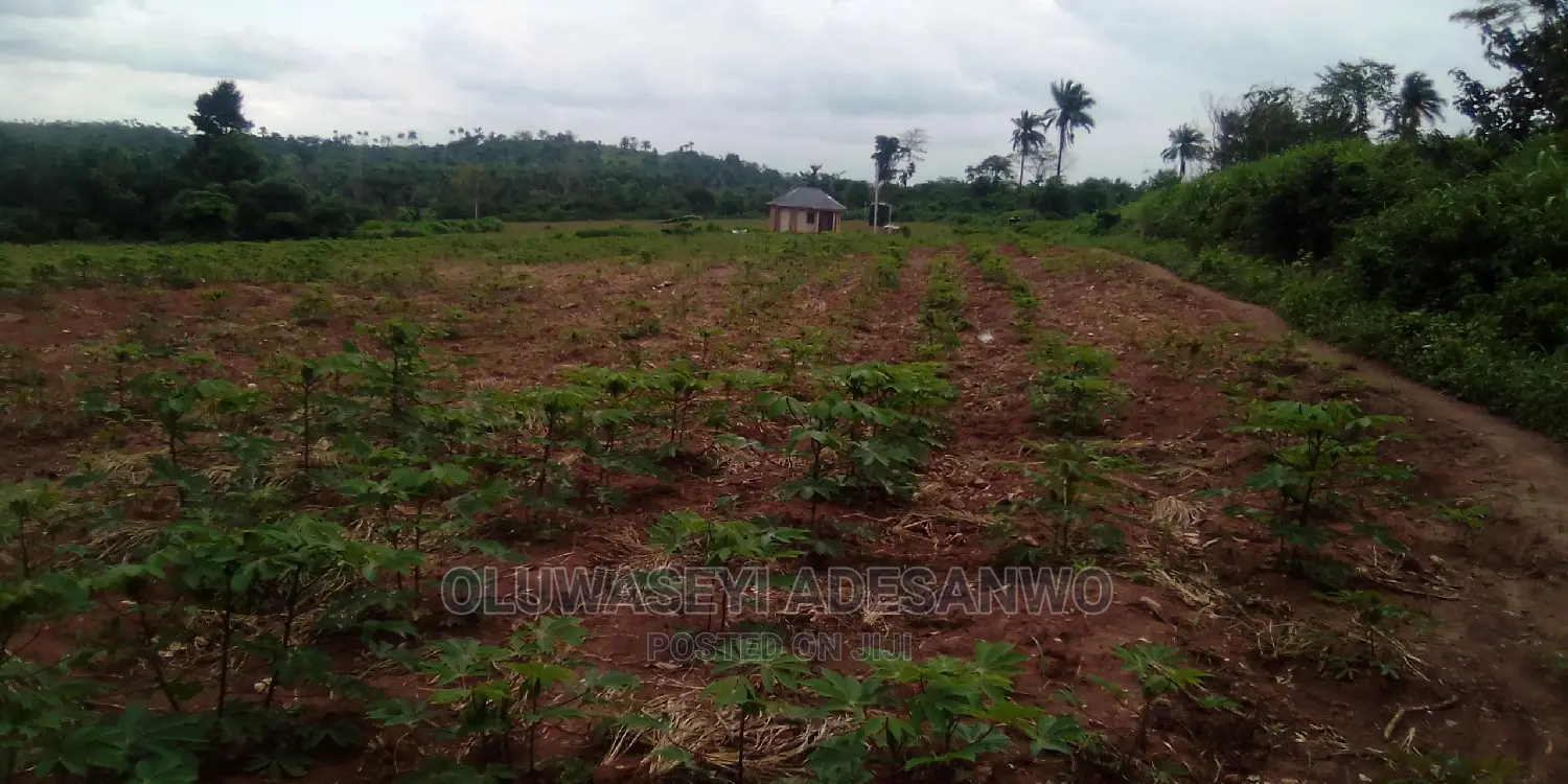 Farming Consultant