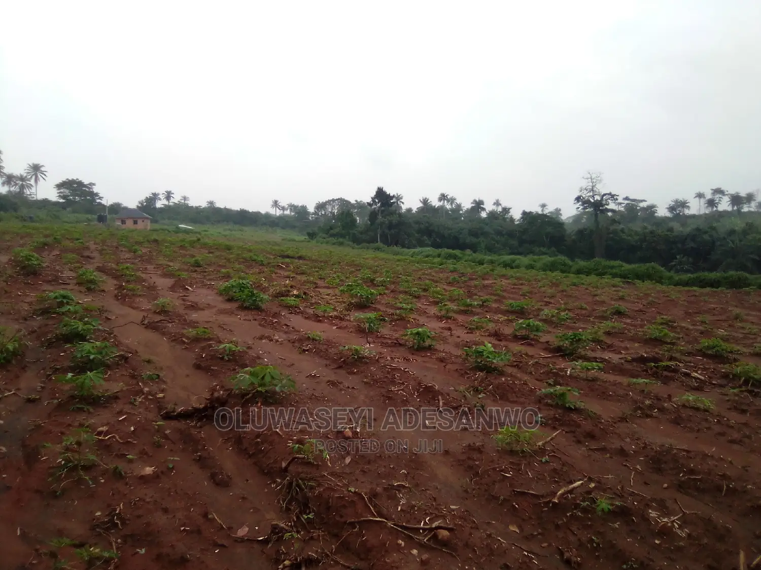 Farming Consultant