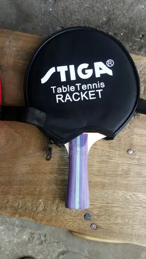 Stiga Bat In Case