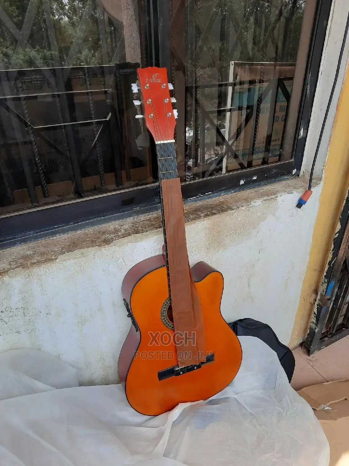 Semi Acoustic Guitar
