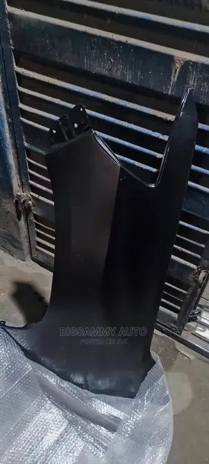 Toyota Landcruiser 2018 Fender