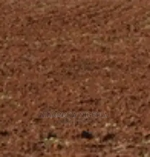 775sqm Serviced Plot for Sale in Executive Estate