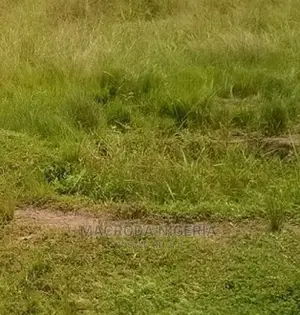 1000sqm Land for Sale