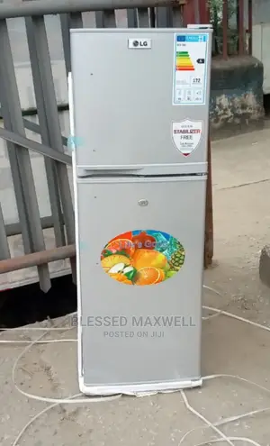 Lg Double Door Refrigerator