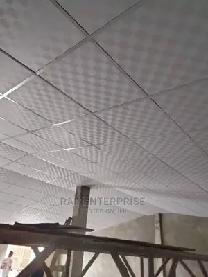 Guysum Ceiling Board Only