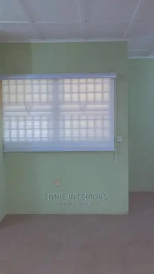 Window Blinds