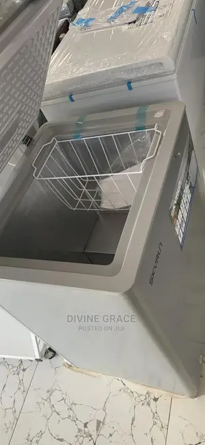 Bd-100hnw Chest Freezer