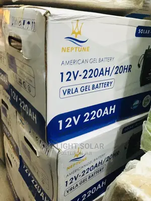 220ah Neptune Battery