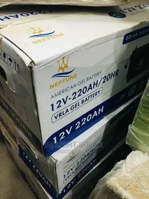 220ah Neptune Battery