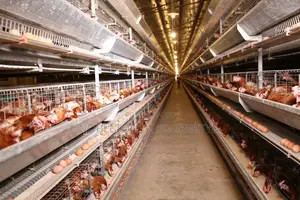 Poultry/Vegetable Farmland
