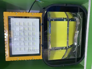 Explosion Proof Light 800W