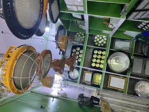 Explosion Proof Light 800W