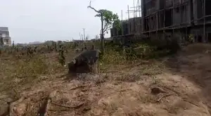 1700sqm Residential Plot at Jahi Gilmore Tarred Roads