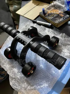 4-Wheel Ab Roller