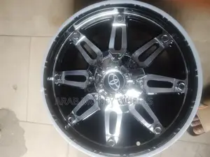 17 Rims for Thundra