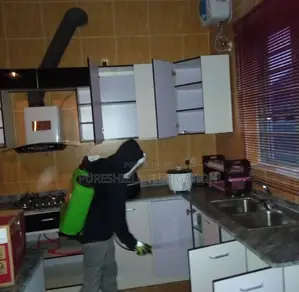 Cockroach Fumigation Pro