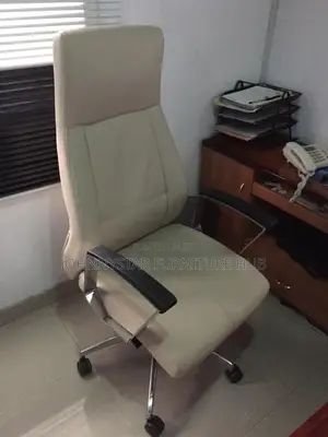 Executive M. D Office Chairs