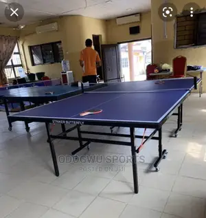 Table Tennis Board B528