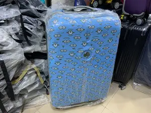 Original Imported Delsey Hard Body Traveling Luggage