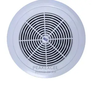 6inchs Ceiling Speaker - Cs-663t