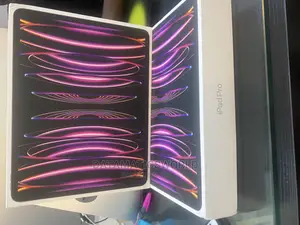 New Apple iPad Pro 256 GB Gray