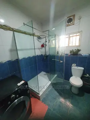 Frameless Hinge Bath Cubicle