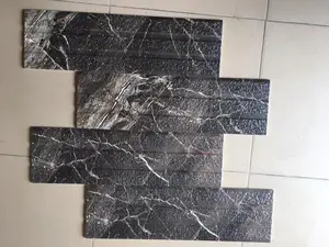 Exclusive Super Polished Tiles