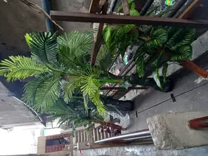 Flowers Designs and Decor Designs   