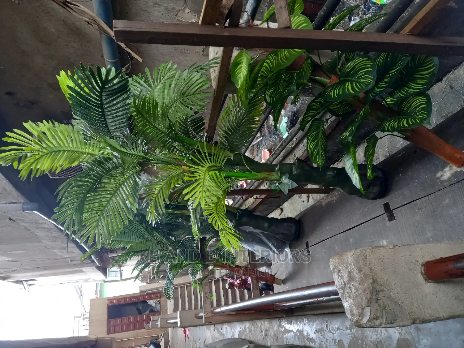 Flowers Designs and Decor Designs   