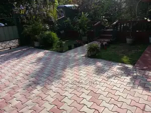 Pave Stones and Interlocks