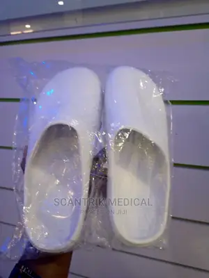 Unisex Clog Shoe