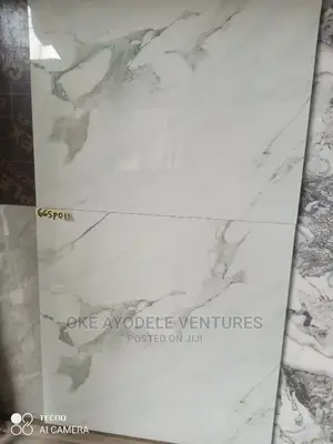 Super Polished Tiles 60/60 (Sp011)
