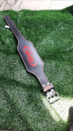 Weight Lifting Belts