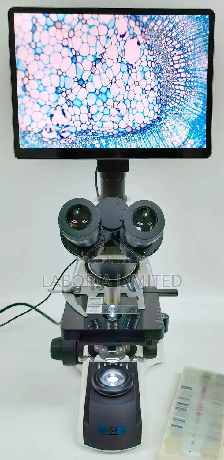 Microscope ( With Digital Camera and Screen)