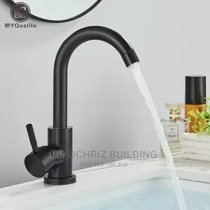 Black Sink Mixer