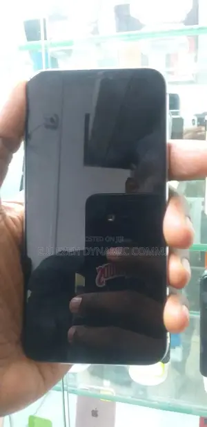 Apple iPhone X 64 GB Gray