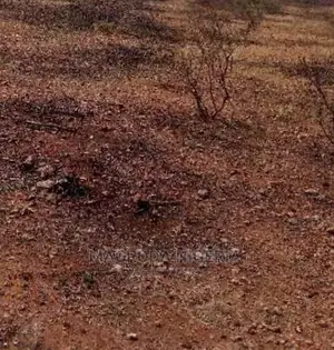 1036 SQM Land for Sale