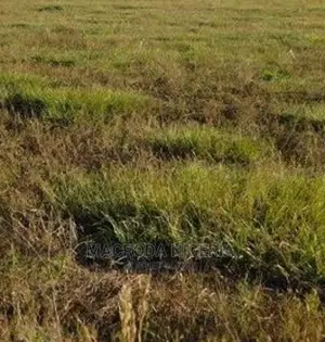 1200 Sqm Land for Sale
