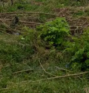 700sqm Land for Sale at Ogba