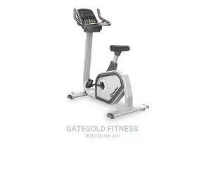 Commercial Upright Bike Pu300