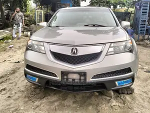 Acura MDX 2010 Silver