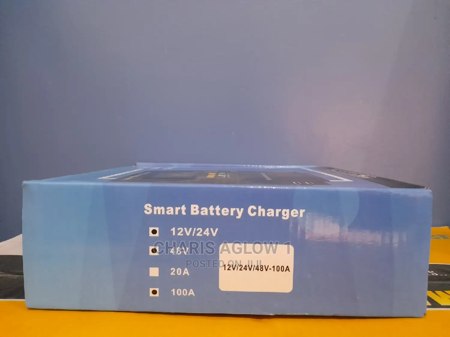 Smart Charge Controller 100amperes