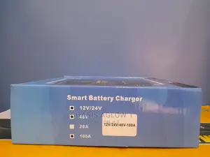Smart Charge Controller 100amperes
