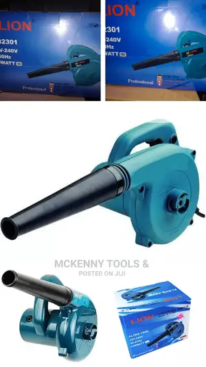 Lion Electric Air Blower 700w