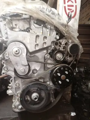 20219 Hyundai Kona Engine