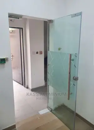 Frosted Frameless Glass Door