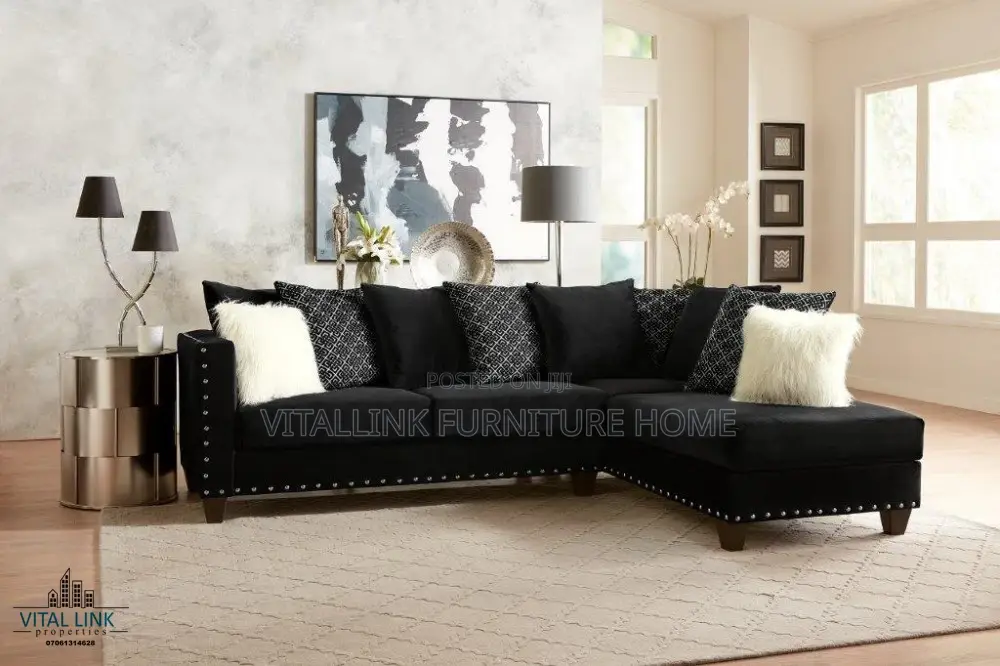 Luxuriously Designed Sofa
