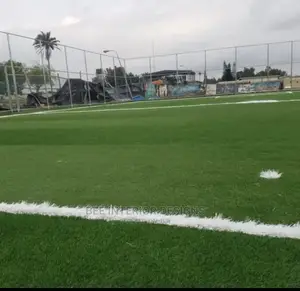 Quality Artificial Carpet Grass