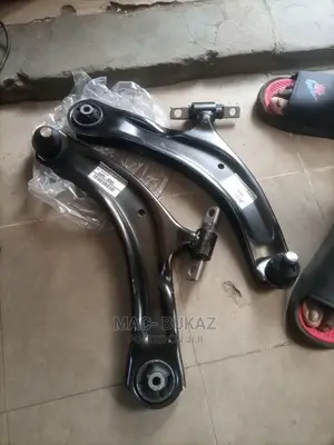 Low Arm Assy Nissan Rogue
