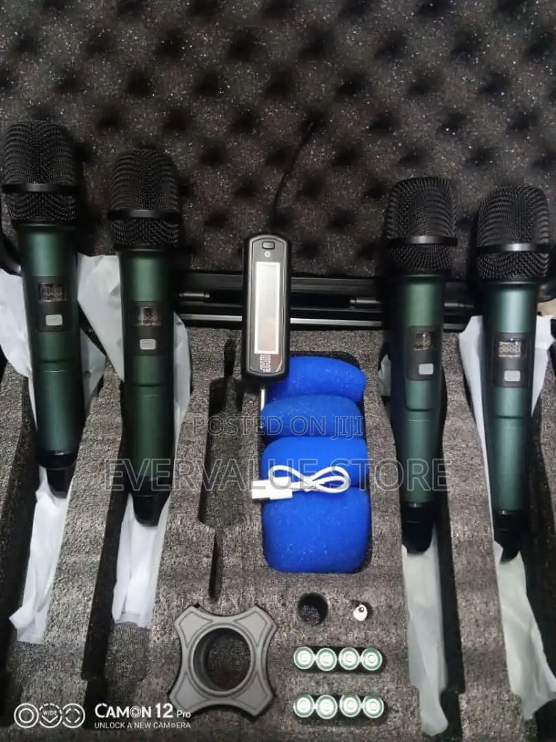 4 in 1 Wireless Microphone